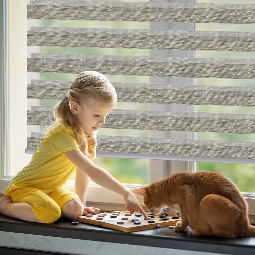 Zebra Roller Blinds